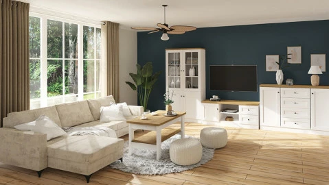 co-wstawic-do-witryny-w-salonie